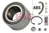 FAG 713 6109 50 Wheel Bearing Kit